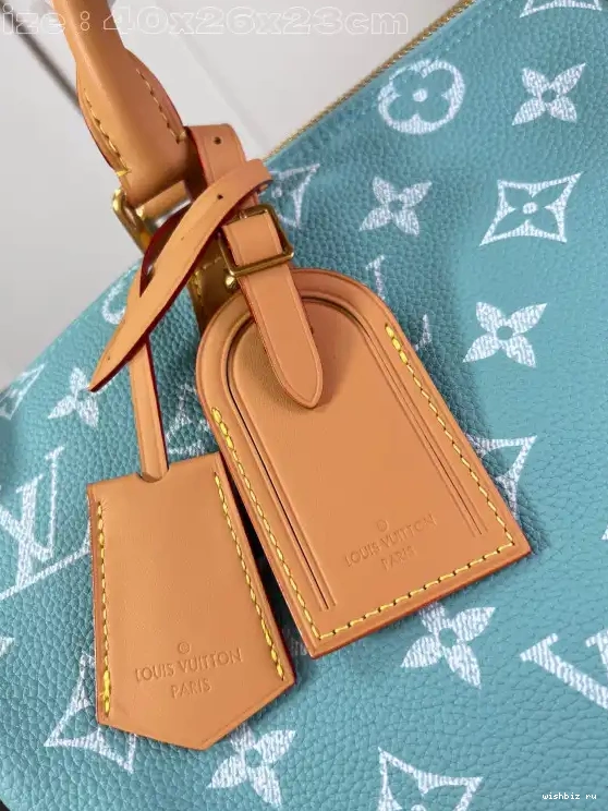 WIS SPEEDY Louis Vuitton 40 0704